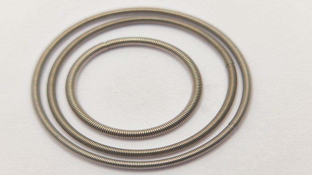 Oil seal spring deformation state